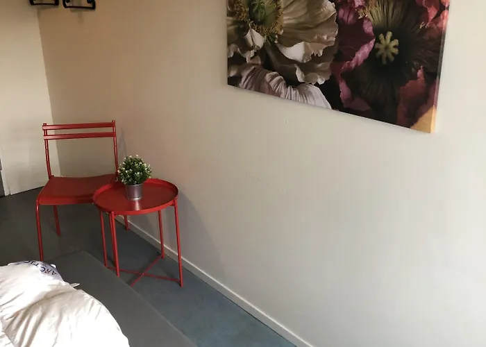 بيت شباب Danhostel آلبورغ